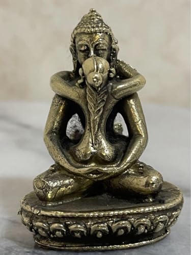 チベット密教 秘仏 シャクティ 歓喜仏　ヤブユム像　仏像 仏陀　釈迦　一点物 41SOLNwEraL.jpg