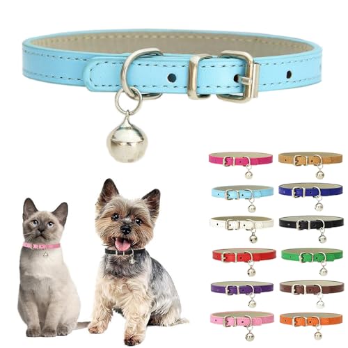 u[XS̎ցAxt\tgPUU[q xt x[VbN K[Y L  xt XXS XS  ~fBA ybg L qL ȓ [L[ `AXS