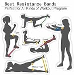 5 Resistance Levels Exercise Bands, Elastic Exercise Loop Bands for Home Fitness, Workouts, Strength Training, Gym, Fitness Workout Bands for Yoga, Stretching, Pilates