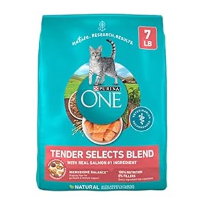 Purina One dry food bag cat adult