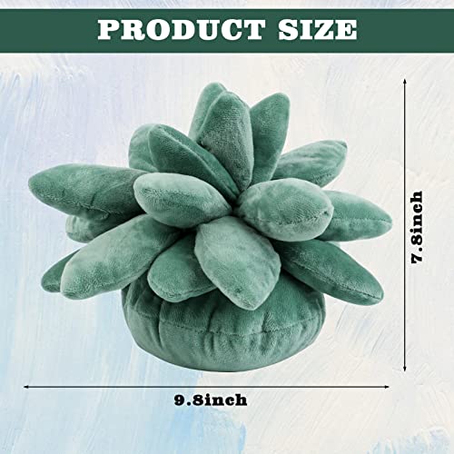 2Pcs 3D Succulents Cactus Pillow 3D Succulent Throw Pillow Cactus Plush Cute Succulents Flower Plant Shaped Cushion Baby Green Plant Throw Pillows Sofa Cushion Office Pillow Kids Toys(9.8*7.8Inch) #TOP1