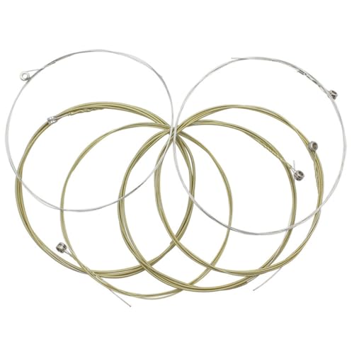 TOKIDNY 6 tH[NM^[p ϋv sK XeX AR[XeBbNM^[ ĂȉFƉKȉt SґΉ