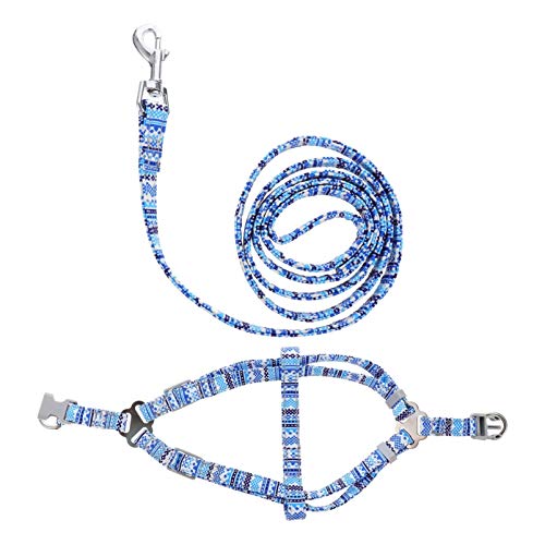 ULTECHNOVO Conjunto de Arnês E Trela para Cães Arnês Separável Ajustável à Prova de Fuga para Caminh