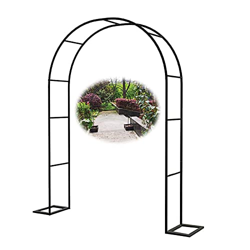 Rosenbogen 2M Breit TEST & Bewertung (2023)