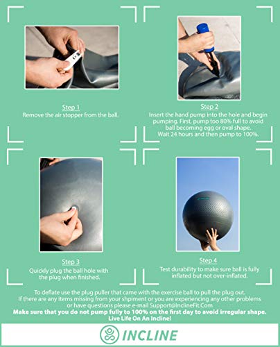 Incline Fit Anti-Burst Exercise Ball, Base & Pump (55, 65, 75 cm) for Stability, Yoga, Pilates & Fitness; Swiss Ball Stand, Alternative Office Desk Chair or Pregnancy Birthing Ball, Ultra Violet