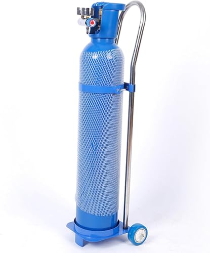 Soporte de tanque de oxígeno de acero inoxidable para cilindros de gas de 10 a 20 L, carrito rodante portátil con ruedas para uso doméstico e industrial