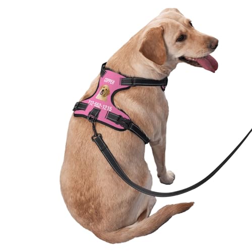 WINKEEY Hundegeschirr Personalisiert Sicherheitsgeschirr Welpengeschirr Brustgeschirr Mit Namen Telefonnummer Anti Zug, atmungsaktiv, reflektierend Für Kleine Mittelgroße und Große Hunde