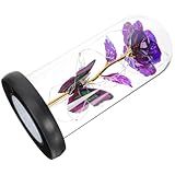 INOOMP Romantische Konservierte Rose in Glaskuppel Ewige Blume aus Goldfolie Tischdekoration für Valentinstag und Jahrestag Dekoratives Geschenk für Frauen