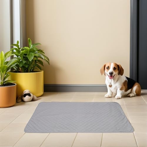 Coussin imperméable pour canapé et chien design gris clair - 6