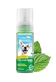 Tropiclean Fresh Breath Pet Mint Foam Plaque Remover 4.5oz