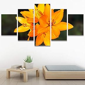 SIGNWIN 5 Panel Canvas Wall Art Modern Art...