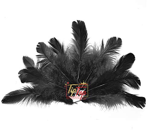 Image of TIPTOP DECORATION Natural Dyed Feathers 10 cm (80 pieces) (Black)