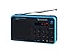 Sunstech RPDS32BL - Radio portátil Digital (Am/FM, USB, SD, MMC, 1.5 W), Color Azul