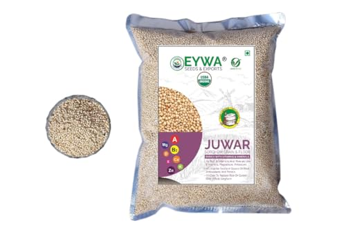 Image of Organic White Sorghum (10 Kg) /white Cholam /jovar /jonna /jola For Eating And Cooking By Eywa