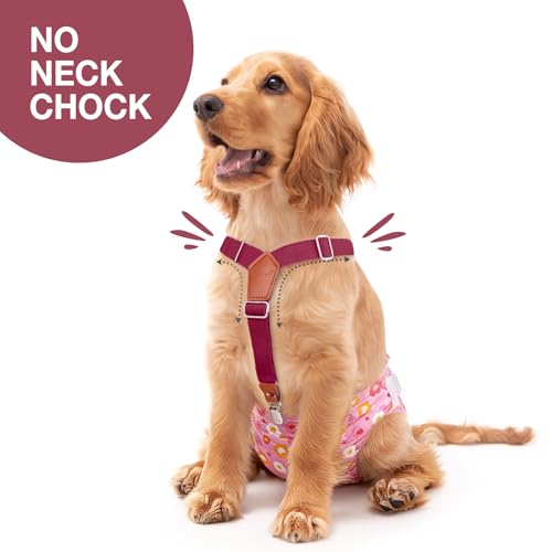 Image of Pet Soft Dog Suspenders 2 Pieces Female Dog Diaper Suspenders for Dogs Diaper Keeper Suspender for Dogs Skirt, Doggy Dress (Brown & Burgundy, M /L)