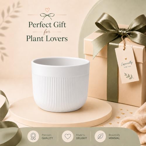 Image of Xtore Refined Ceramic Ribbed Planter with Base | Medium Round Plant Pot for Desk, Shelf & Corner Decor - (White, 1 Piece, Planter ONLY)