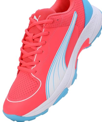 Image of Puma Mens Spike 24.2 Cricket Shoe