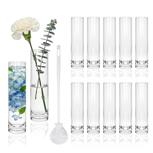 Brajttt 7.48 inch Tall Vases for Flowers 12PCS Glass Cylinder Vase Bud Vase