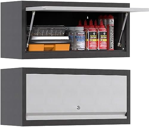 SUPEER Armario de Pared Metálico para Herramientas con Puerta Aba...