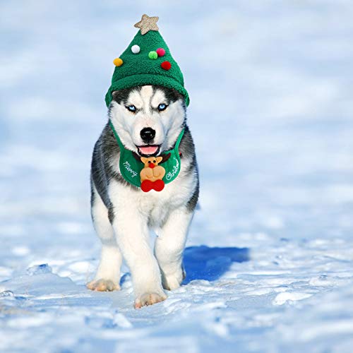 Cosplay de Natal para cachorro de estimação conjunto de babador de chapéu 2 unidades (chapéu verde +