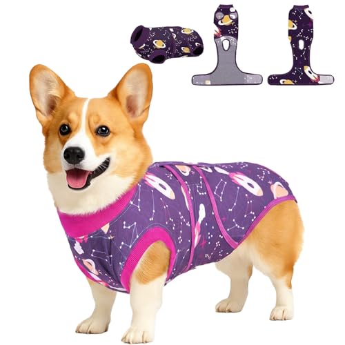 Combinaison pour chien PetWarm violette S pour soigner votre compagnon - 2