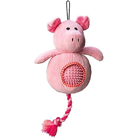 House Of Paws Pig Cord Dog Toy with Spiky Ball Cover