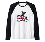 Photo Gallery union jack flag dog german pinscher maglia con maniche raglan Photo Gallery union jack flag dog german pinscher maglia con maniche raglan