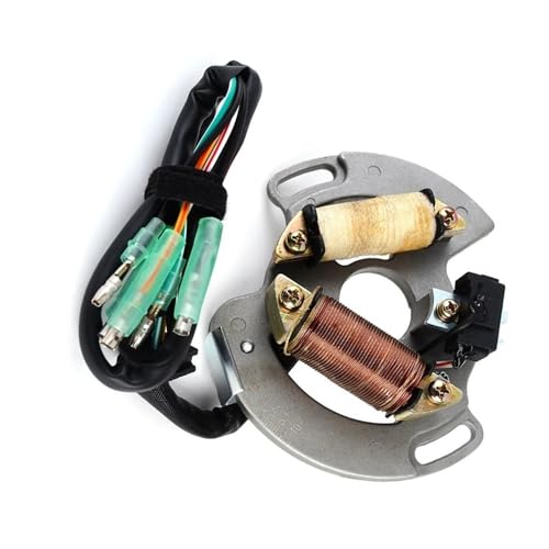 Bobine de stator pour YFS200 Bl Ed 2006 5VM-85560-00
