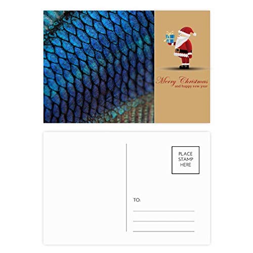 Cartes postales Père Noël Bleu poisson pour accompagner vos cadeaux de Noël
