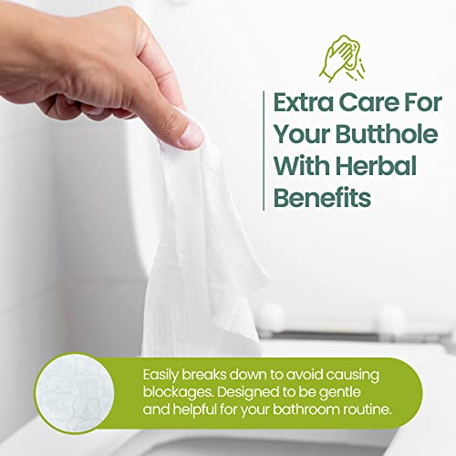 Fohow Herbal Wet Wipes, Flushable Wipes With Natural Herbal Extracts, Cleaning Wipes Made With Plant-Based Materials, No Alcohol, No Artificial Fragrance And Perfume(Original Herbal Scent), 6.6 X 7.6 Inches, 60 Pcs #TOP1