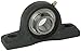 Hub City PB250URX1-1/8 Pillow Block Mounted Bearing, Normal Duty, Low Shaft Height, Relube, Setscrew Locking Collar, Narrow Inner Race, Cast Iron Housing, 1-1/8" Bore, 1.81" Length Through Bore, 1.563" Base To Height