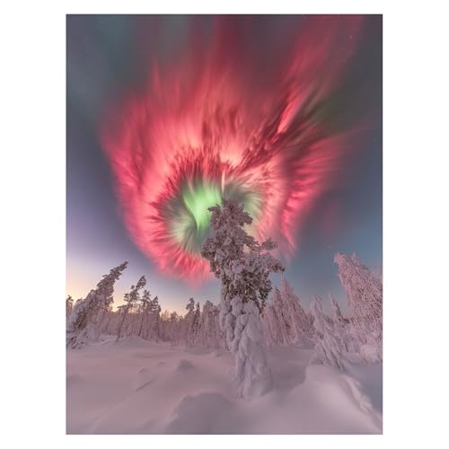 DIY 冬 数字油絵 オーロラ 数字塗り絵画 手芸キット 55 x 40 cm 絵画 インテリア 手作りキット ビッグサイズ 複数サイズ 子供 初心者 ペイントバイナンバー 画材 Painting by Numbers 適用対象そして自宅 壁飾り お歳暮誕