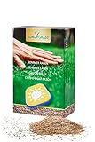EuroGrass Sommer Rasen (80 qm), 2 kg, Neuanlage & Nachsaat, trockenheitsverträglich & robust