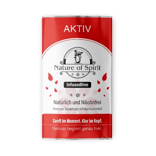 Nature of Spirit – Aktiv 4% Hanf – 25 g – Premium Hanfteemischung – 100% Natur, frei von...