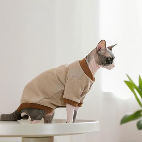 Sweatshirt pour chat Sphynx pull chaud chaton sans poils hiver