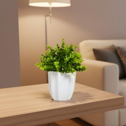 Image of fancymart Artificial Plant Hackleberry Bunch in Pot - 22 cm Height, Perfect for Tabletop Decoration | Ideal for Home & Office Decor