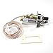 Williams P322399 - Pilot Assembly LP