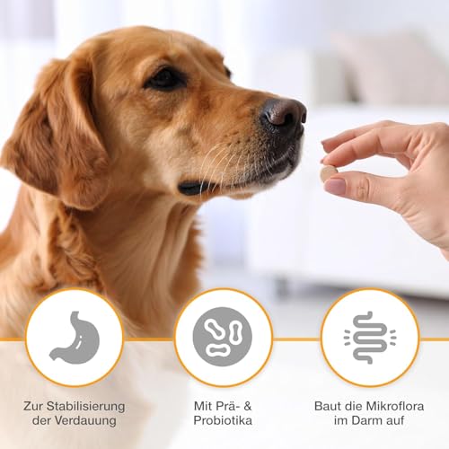 alfavet Dia Tab PRO 100 g – Diät-Ergänzungsfuttermittel für Hunde & Katzen – Prä- & Probiotika zur Stabilisierung der Verdauung – Leckere Kautabletten mit Bentonit zur Unterstützung der Darmflora