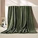 BEAUTEX Fleece Blanket Twin Size Super Soft Flannel Throw Blanket Lightweight Fuzzy Plush Blanket for Couch Sofa or Bed All Seasons (Olive Green, 60