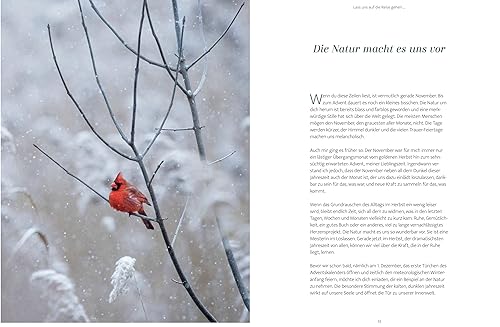 Zeit statt Zeug: Der achtsame Adventskalender: 24 Tage voller Freude, Besinnlichkeit und Selbstfürsorge