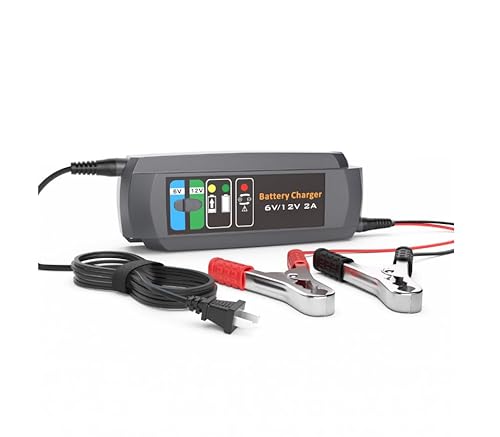 ERAYAK 2A Battery Charger