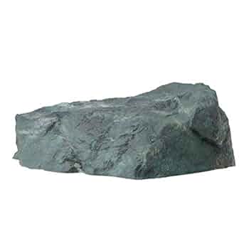 41SOsVCRZfL._UF350,350_QL50_.jpg