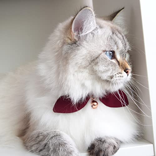 Cria & Co Fancy Bow Cat Collar With Bell For Pet Photography thumb #2
