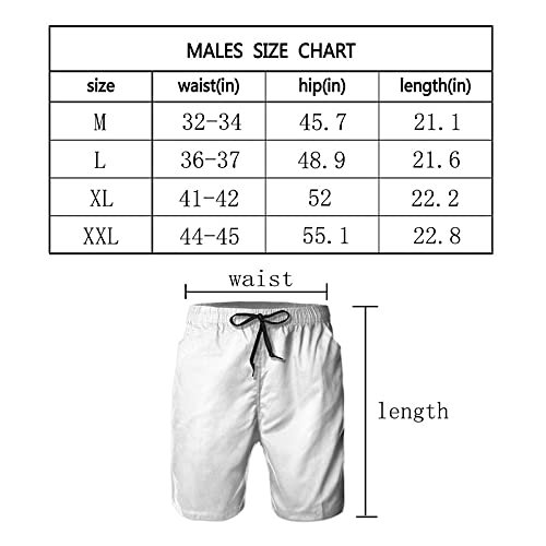 Aeoiba Usa Puerto Rico Flag Mens Swim Trunks Quick Dry Breathable Beach Board Shorts Summer Surfing Swimwear Bathing Suits With Mesh Lining, M #TOP2