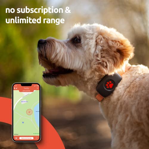 PitPat Dog GPS Tracker - No Subscription Required - Suitable for All Dogs And Fits All Collars - Smart Activity Tracker, Satellite Tracking With Unlimited Range - 100% Waterproof Pet Tracker (Black) - Image 3