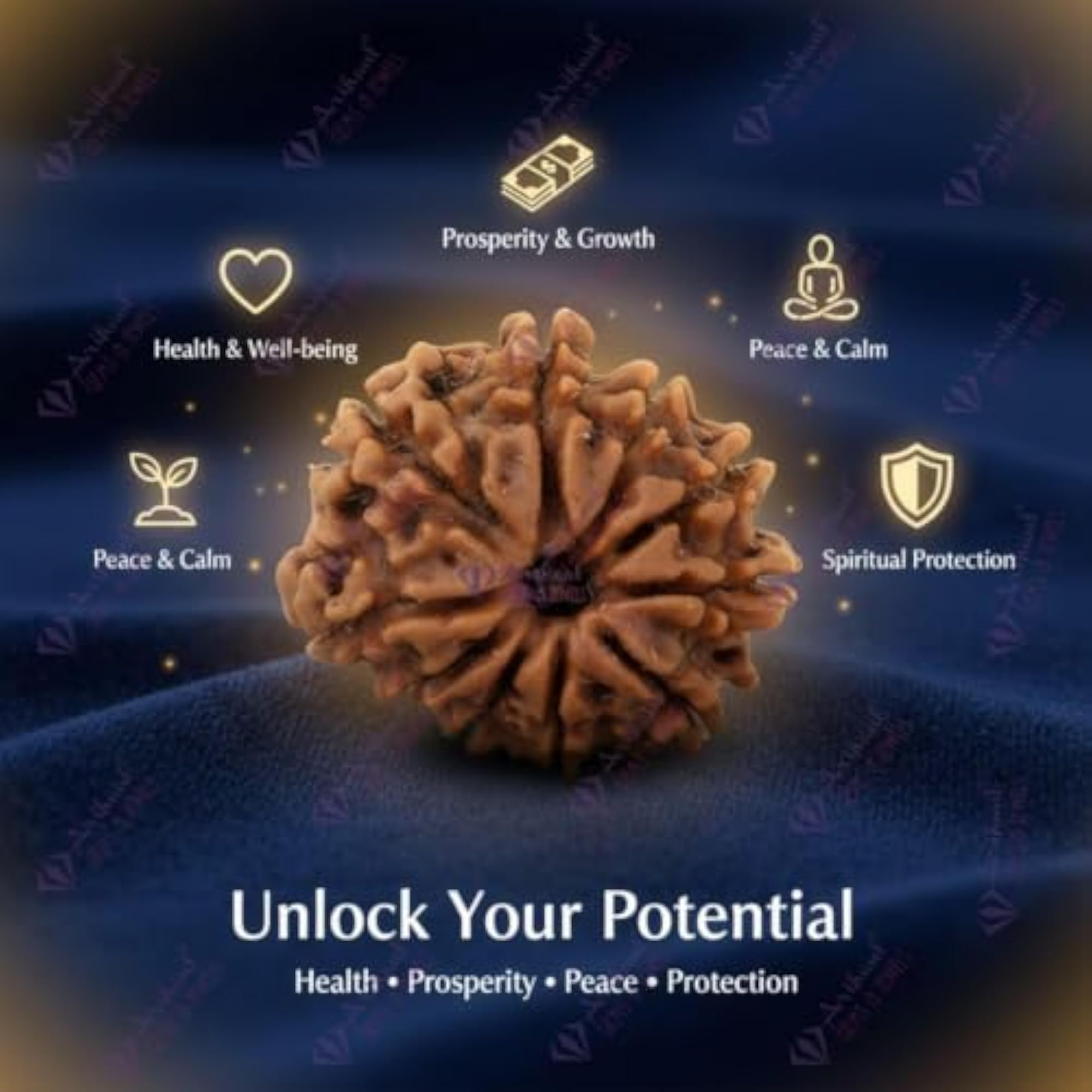 10 Mukhi Nepali Rudraksha, Natural & Certified, Unisex