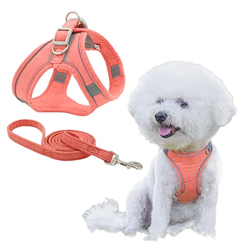 KUVEELA PET ybgpn[lX[hZbg  L  ˌXgbvt ߉\ U Oo EȒP ^ ^ ^iiXG[hjsN Lj