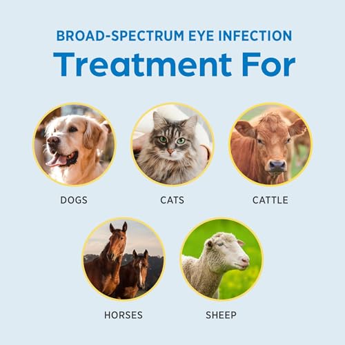 Terramycin Antibiotic Ointment for Eye Infection Treatment in Dogs, Cats, Cattle, Horses, and Sheep, 0.125oz Tube