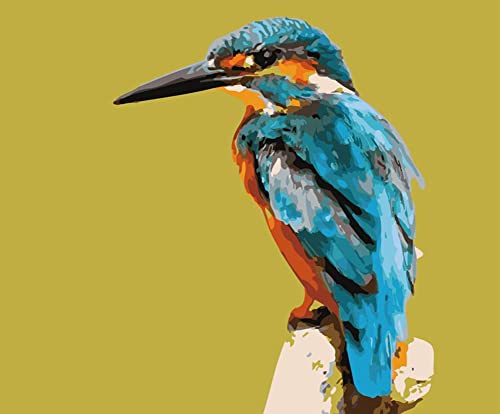 ABEUTY DIY Fabric Decorating Kits, Paint by Numbers River Kingfisher 16x20 inches Number Painting Wall Art (Kingfisher, Wooden Framed)