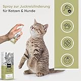animigo Anti Juckreiz Spray - 250ml Fellpflege - Für Hunde & Katzen - Mit Aloe Vera, Teebaumöl, Nelkenöl, Glyzerin, Rizinusöl, Hexandiol - Für alle Altersgruppen - Hundespray gegen Juckreiz